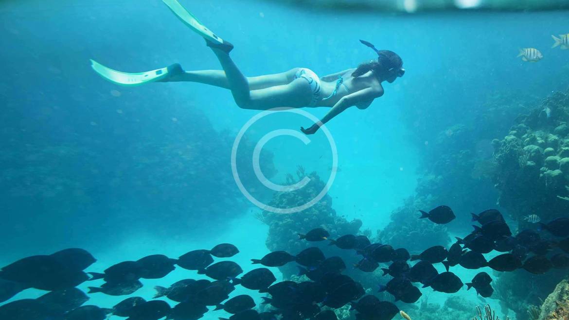 7 Motivos para Investir em um Poço Artesiano (E Por Que Ele Se Paga Sozinho)